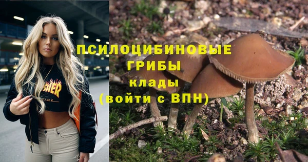 MDMA Premium VHQ Аркадак