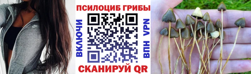 Галлюциногенные грибы GOLDEN TEACHER  кракен сайт  Артёмовский 